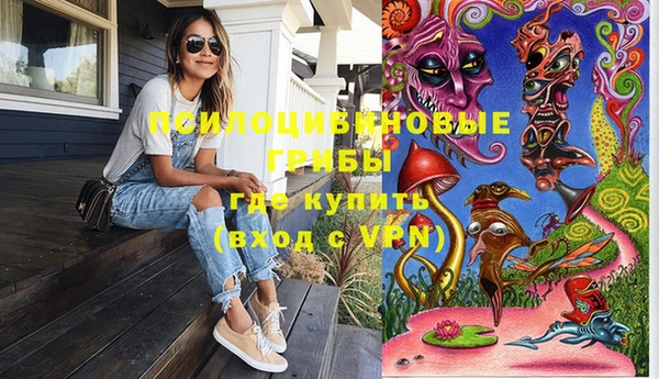 МДПВ Алзамай