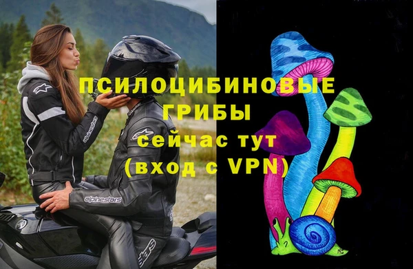 стаф Алексеевка