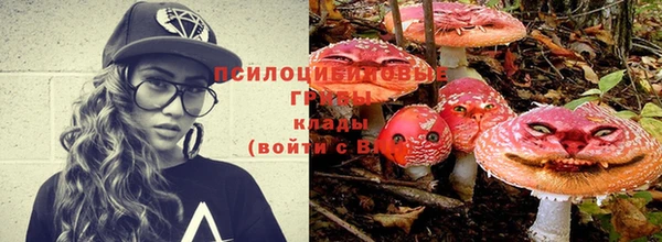 стаф Алексеевка