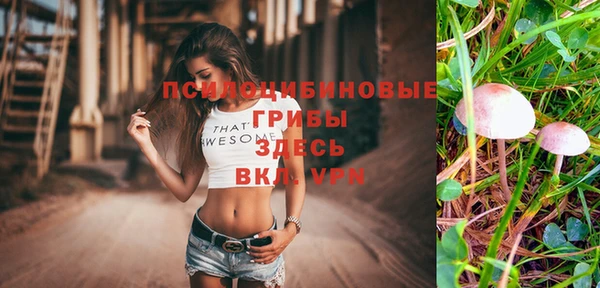 стаф Алексеевка
