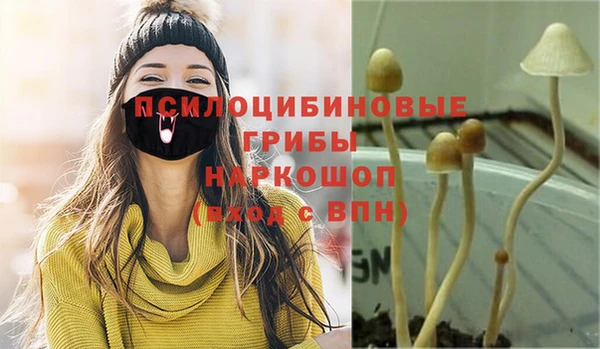 стаф Алексеевка