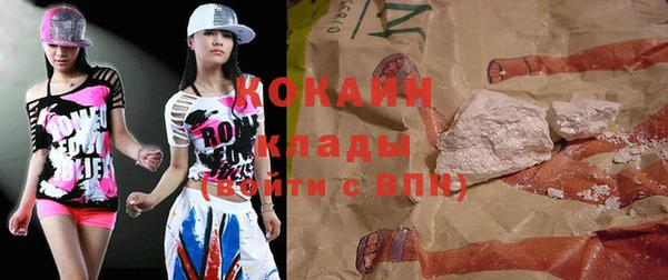 кокс Алексин