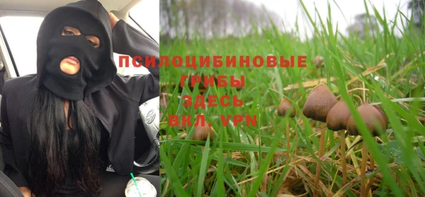 стаф Алексеевка