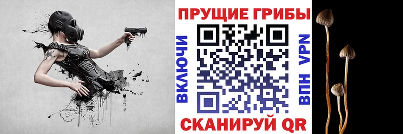 где купить   Алушта  Псилоцибиновые грибы мухоморы 